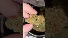 WestPacks420 Video Thumbnail
