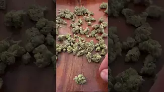 Curo Fire OG Quick look #ukmedicalcannabis #painrelief #medical #flower