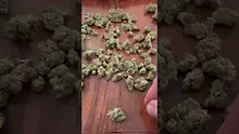420Medical Video Thumbnail