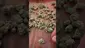 Video Thumbnail: 420Medical