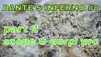 Canada Craft Dante's Inferno #8 Part 2: SCOPE & PURPL PRO RESULTS