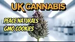 Peace naturals gmo cookies uk medical cannabis