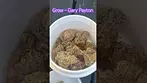 Grow ~ Gary Payton (22%) Info in description