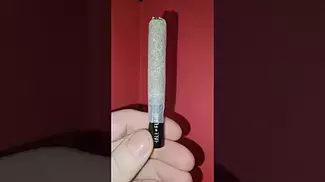 Roll test - White Runtz