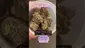 Video Thumbnail: CannaTEE