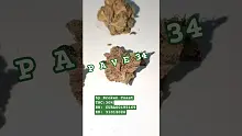 UKTHC Video Thumbnail