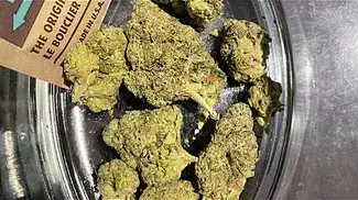 Aurora T26 electric honeydew REVIEW