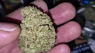 Glass pharms kuah mints 23% thc 1% cdb £75 10g and tangerine boost  20% thc 1% cdb £ 83 10g medical cannabis review