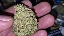 Keep Blazing Stay Amazing Video Thumbnail