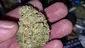Video Thumbnail: Keep Blazing Stay Amazing