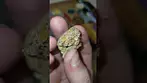 my New Medical Cannabis prescription UK #medicalcannabis
