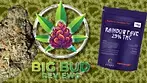 Rainbow Pave by Plantation Ceres T29 - Medical Cannabis Review