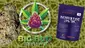 Video Thumbnail: Big Bud Reviews