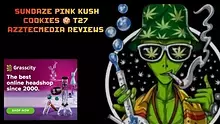 AzztecMedia Video Thumbnail