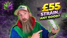 Medicated Marty Video Thumbnail
