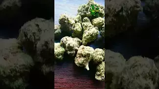What can i say about this one ??  Big Narstie, Papaya Bantz - smalls, 26% Indica hybrid