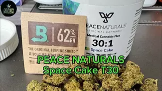 PEACE NATURALS Space Cake T30