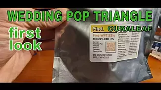  WEDDING POP TRIANGLE | Find/Curaleaf | 22% | £5/g | FIRST LOOK