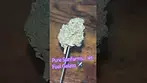 Pure Sunfarms ~ Jet Fuel Gelato (23%)