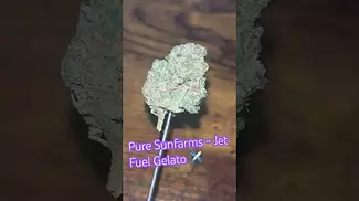 Pure Sunfarms ~ Jet Fuel Gelato (23%)
