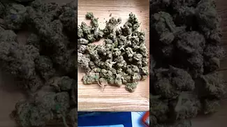 Uk legal medical.Medicus fire cookies 24%Thc 1%Cbd #mensmentalhealth #medicated #ukmedicine