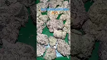 Bajan Video Thumbnail