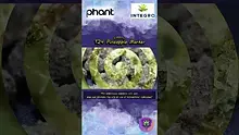 Smokey Mo Video Thumbnail