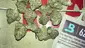 Video Thumbnail: Medical Cannabis Patient Reviews UK