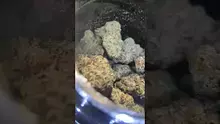 PrescribedBouquet Video Thumbnail