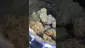 Video Thumbnail: PrescribedBouquet