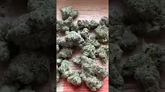 Uklegal #BNM Gelatti 21%thc 1%cbd #medicated #mentalhealth #ukmeds #ukmedical