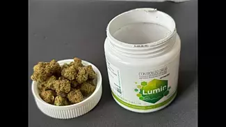  STRAWBERRY MALAWI BY LUMIR 24% THC