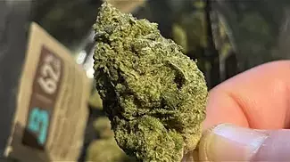 Green karat T29 supreme diesel REVIEW