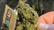 Pain Patient Video Thumbnail