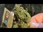 Video Thumbnail: Pain Patient