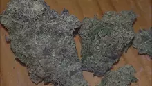 Review Captain  Video Thumbnail