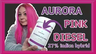 Will Aurora Pink Diesel Be FOR YOU? (27% heavy hitter) Flower Review