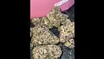 Blue lobster  #cannabiscommunity #medicalprescription  #bluelobster #vasco #medicalcannabis