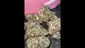 Video Thumbnail: MarmitesMedicalUK