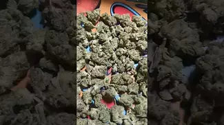 NOIDECS Gorilla Glue 4 (UK PRESCRIPTION MEDICATION)