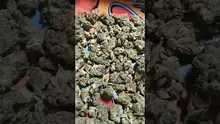 PrescribedBouquet Video Thumbnail