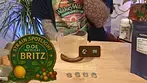 Bright Citrus & Clean Energy | DOE Britz - Spotlight Shining