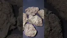 Nizzz _119 Video Thumbnail