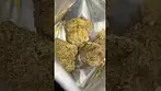 Lot420 T28 Ripped Off Runtz #ukcannabis #medicalcannabis #420 #420uk
