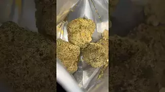 Lot420 T28 Ripped Off Runtz #ukcannabis #medicalcannabis #420 #420uk