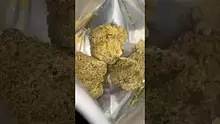 High Jack Video Thumbnail