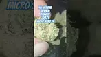 All Nations Tropical Thunder T28/1 AzztecMedia Reviews 7/10 #anxiety #medicalcannabiscommunity #uk