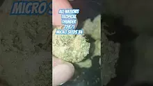 AzztecMedia Video Thumbnail
