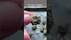 4C Labs 29% Alskan Thunder Review #ukmedicalcannabis #medicalcannabis