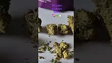 ScottiDunCanna Video Thumbnail